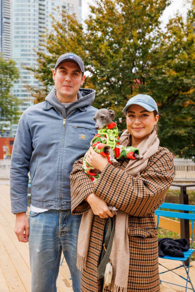 Dog Party at the Deck in Clarence Square Toronto